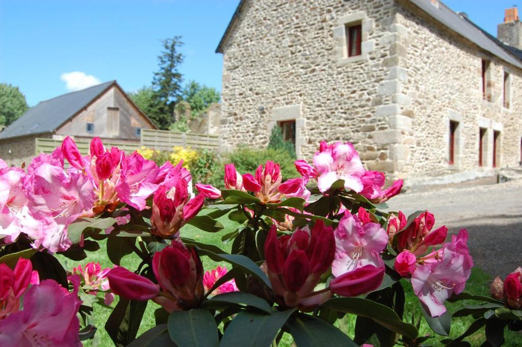 דינאן Maison D'Hotes & Gites Domaine De La Garaye מראה חיצוני תמונה